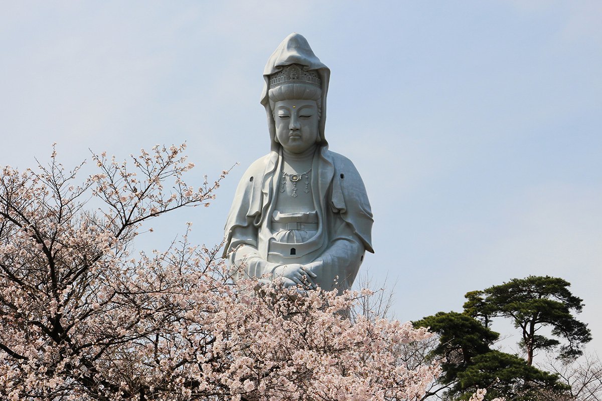 🏯 관음산 지겐인 (간논잔 지겐인) 이미지 4
